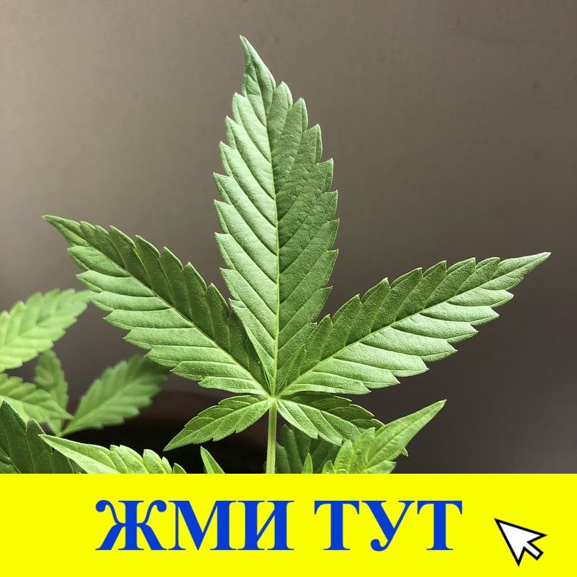 Купить наркотики в Медногорске